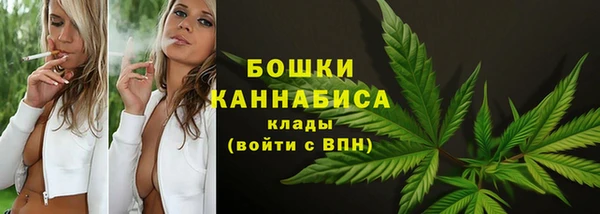 крисы Куйбышев
