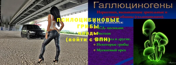 крисы Куйбышев