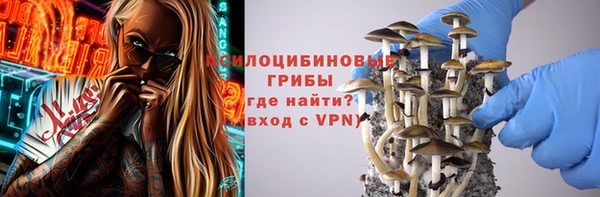 крисы Куйбышев