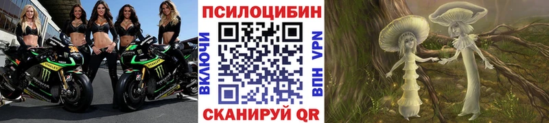 Галлюциногенные грибы MAGIC MUSHROOMS Купить где Маркс